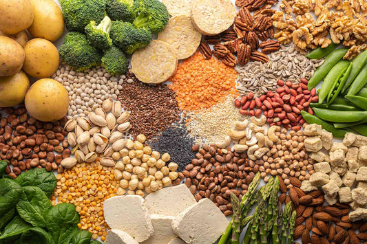 Benefits of Adding Plant Protein to Your Diet